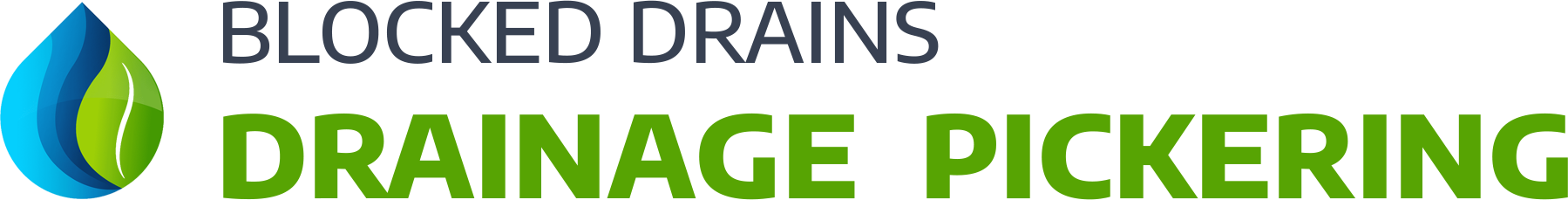 website logo